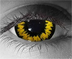 Werewolf Sclera Contact Lenses 18mm – Gothika Custom – Pair
