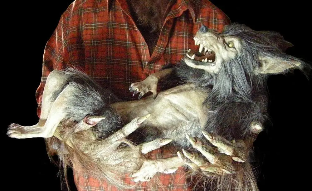 The Horror Dome "Baby Werewolf Puppet" HD Studios Halloween Prop - Image 2