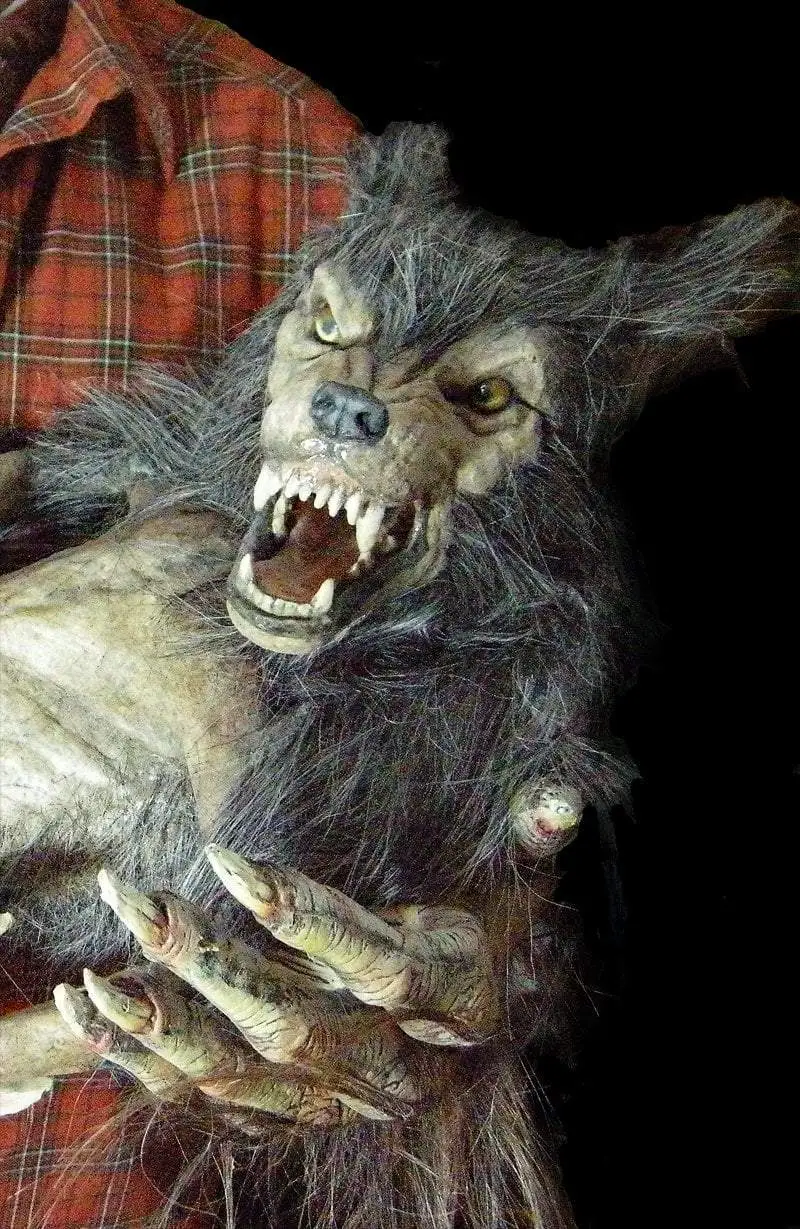 The Horror Dome "Baby Werewolf Puppet" HD Studios Halloween Prop - Image 4