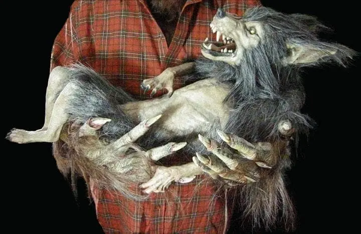 The Horror Dome "Baby Werewolf Puppet" HD Studios Halloween Prop - Image 5