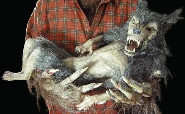 The Horror Dome "Baby Werewolf Puppet" HD Studios Halloween Prop - Image 3